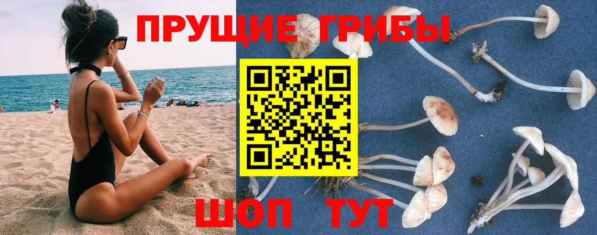 Псилоцибиновые грибы Psilocybine cubensis  Вход с VPN  Тольятти 