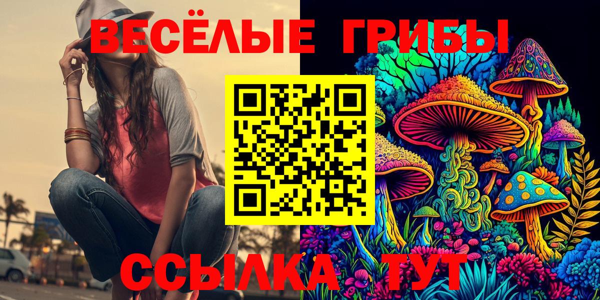 Псилоцибиновые грибы GOLDEN TEACHER Тольятти