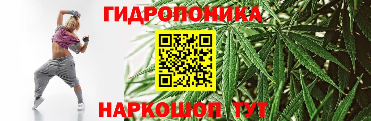 Бошки Шишки марихуана  Вход с VPN  Бошки Шишки VHQ  МАРИХУАНА индика  Тольятти  Марихуана White Widow 